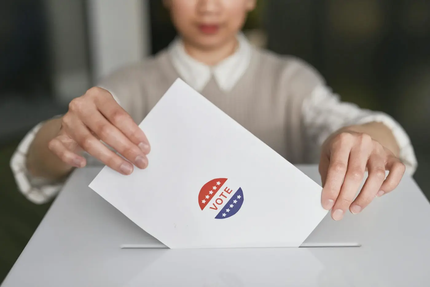 Voter Art